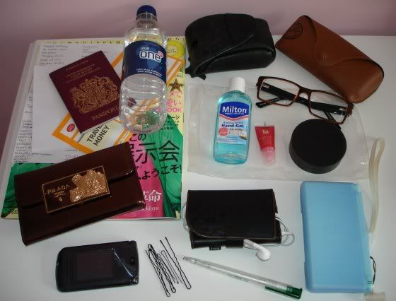 article,handbag,travel