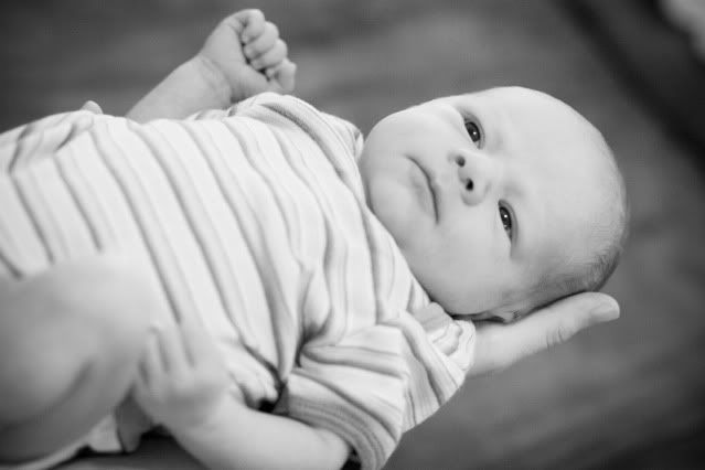 baby pictures in Durham