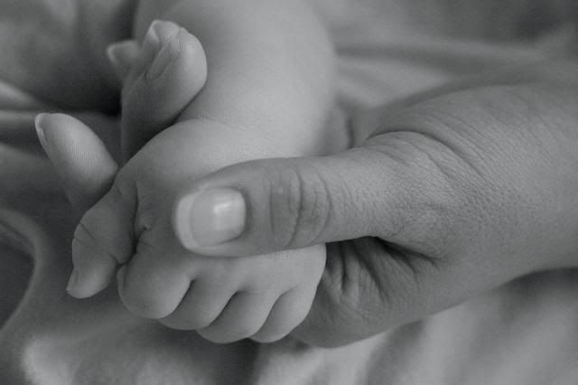 Fun Baby Photography in Cary