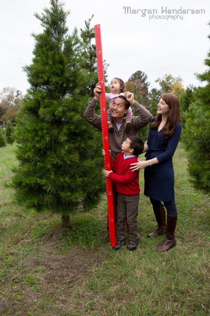 Raleigh Durham Christmas tree farm holiday mini sessions