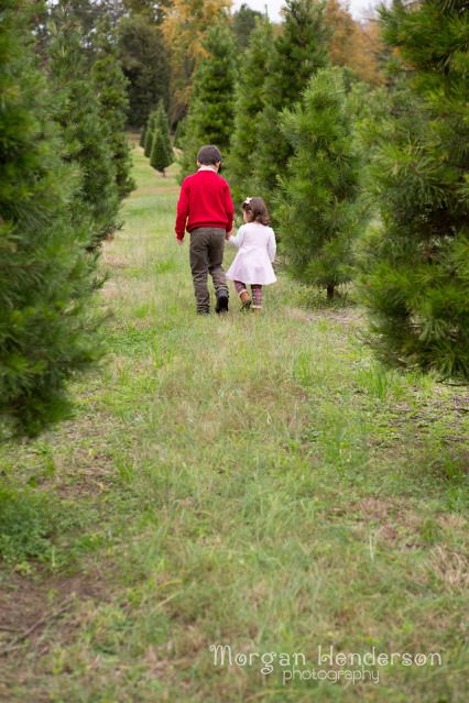 Raleigh Durham Christmas tree farm holiday mini sessions