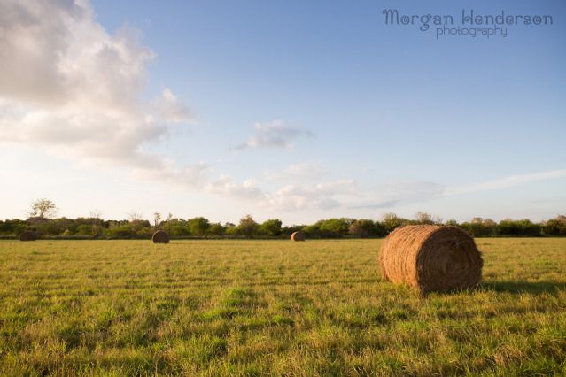 family photography with hay bales