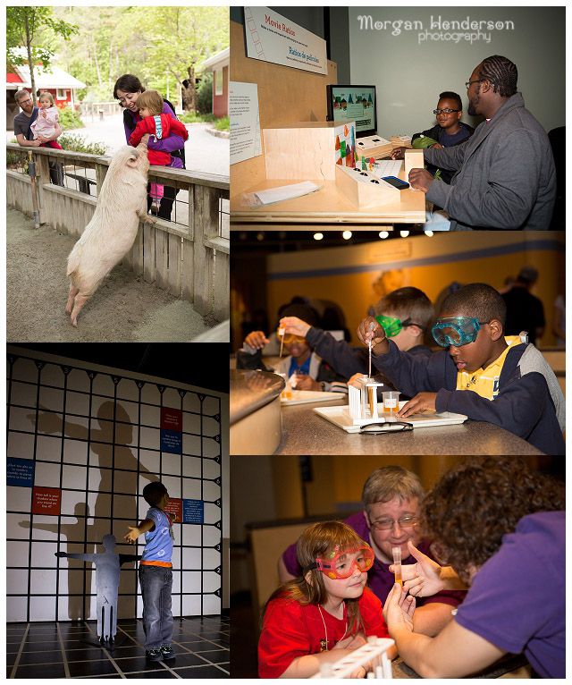 north carolina museum of life and science