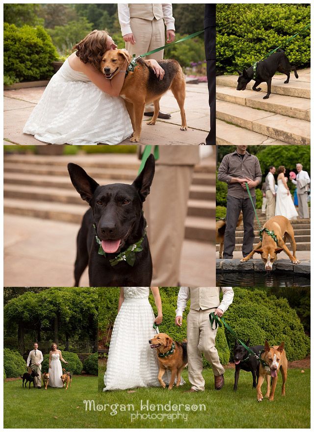 wedding photography with dogs duke gardens