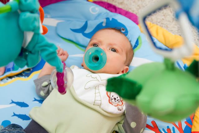 newborn lifestyle photography 