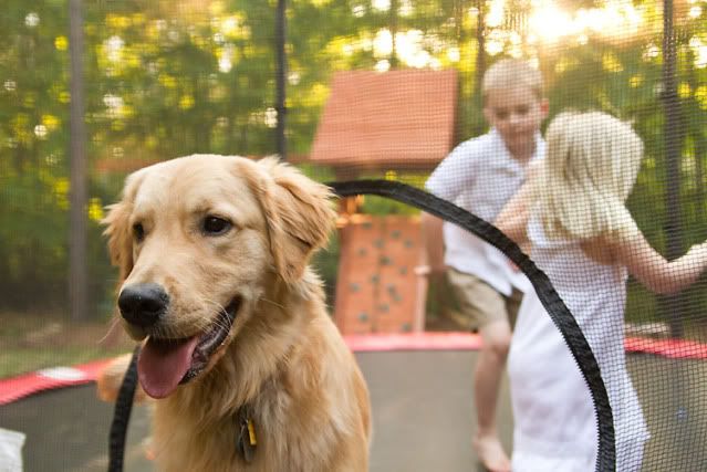 “Raleigh family photography