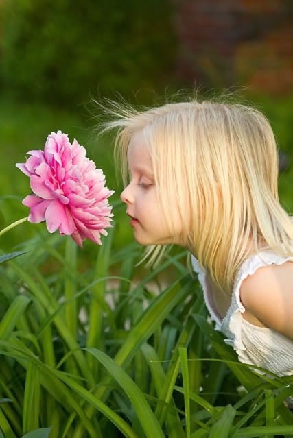 “Raleigh family photography