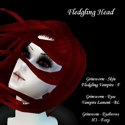 Fledgling Head