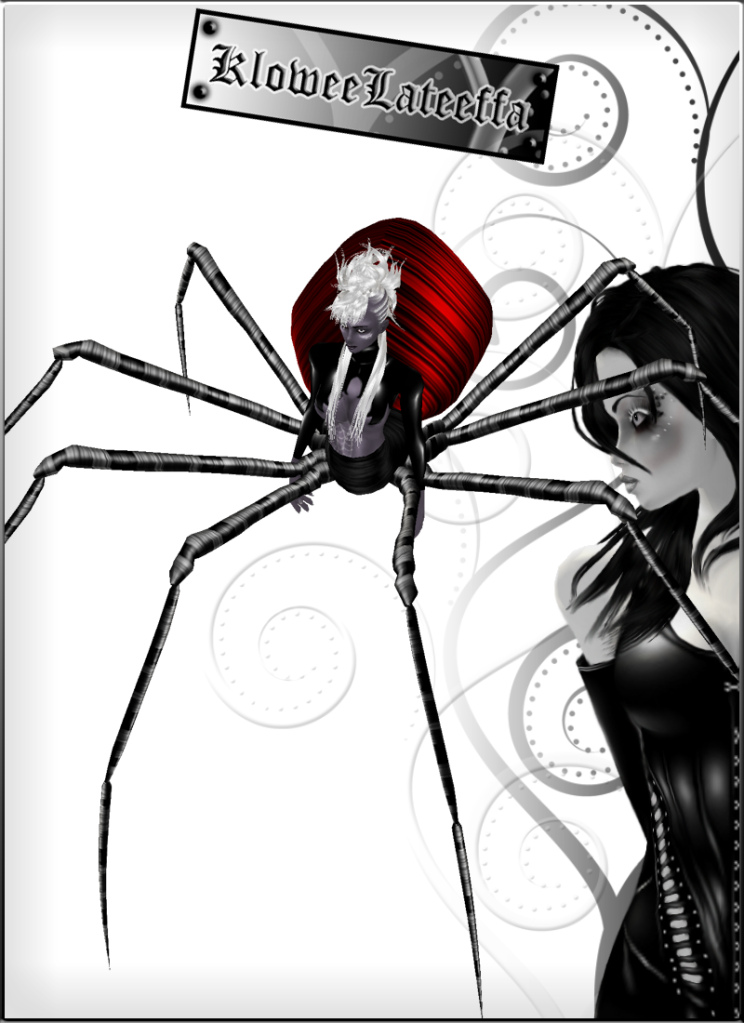 RedBack Spider Female