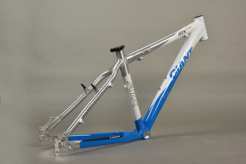 giant m size frame