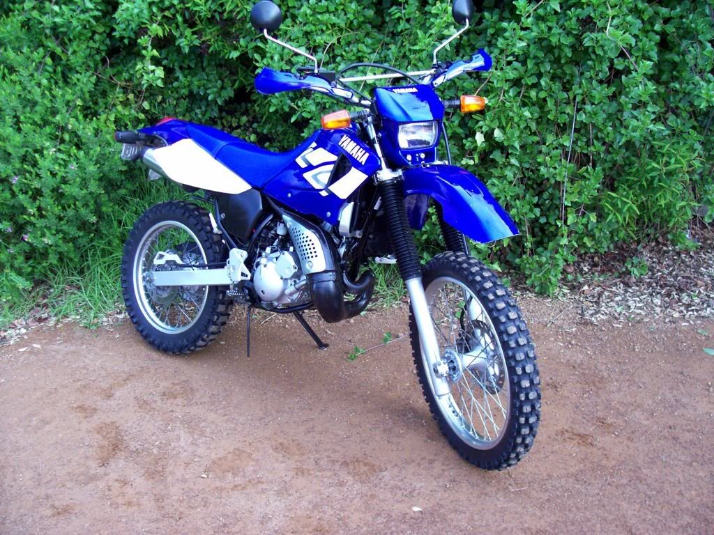 Dt230 Photo by ickydog66 | Photobucket
