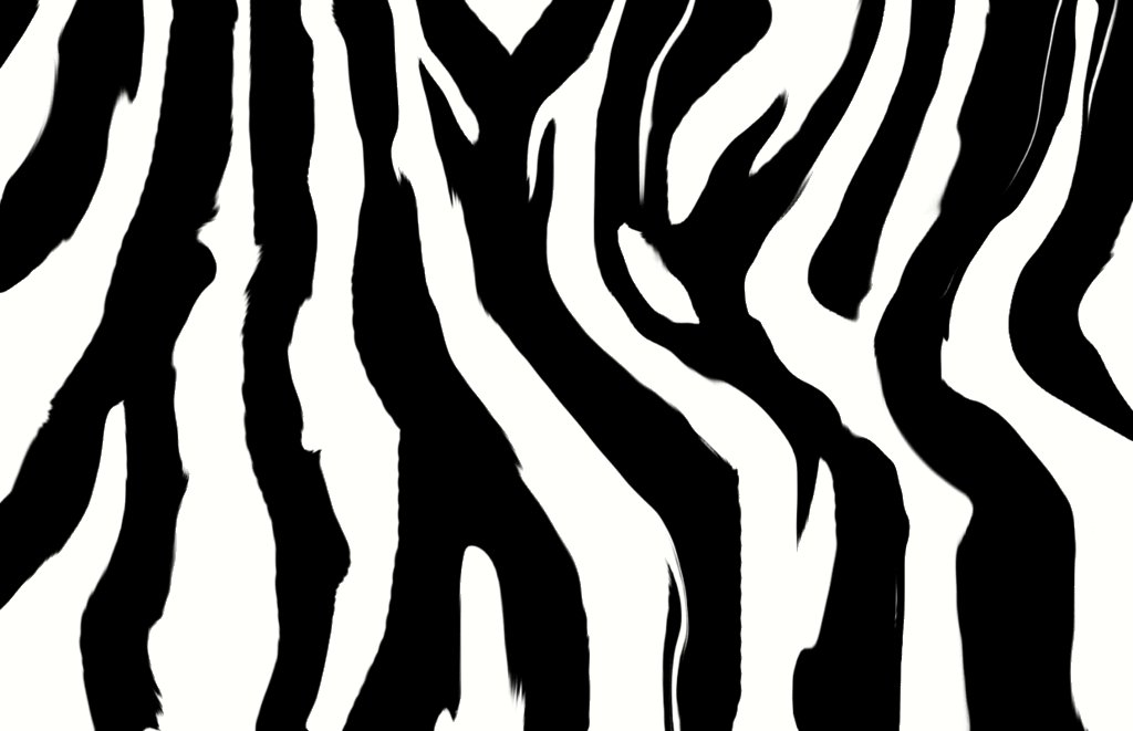 free clip art zebra. dresses clip art border free