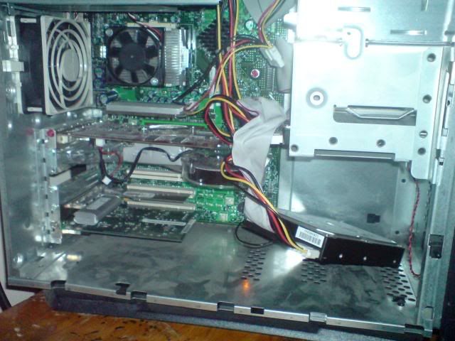 DSC00003-1.jpg