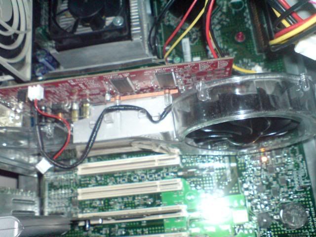 DSC00004.jpg