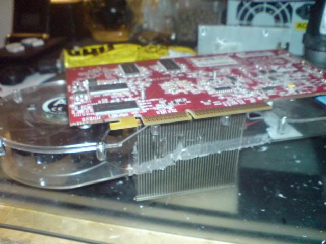 DSC00012-1.jpg