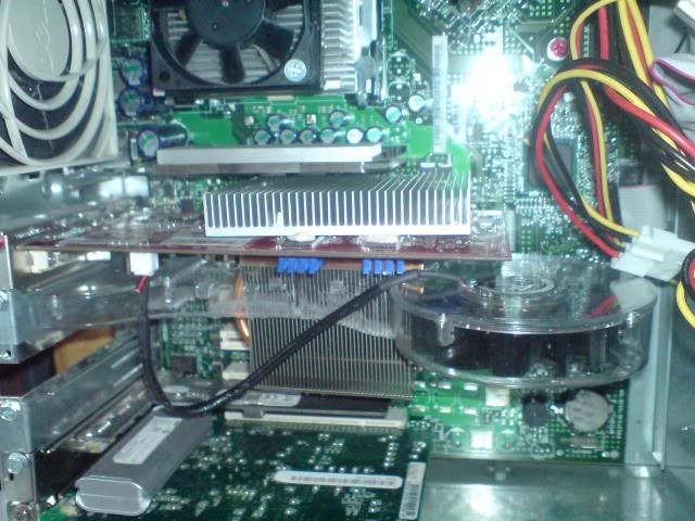 DSC00020.jpg