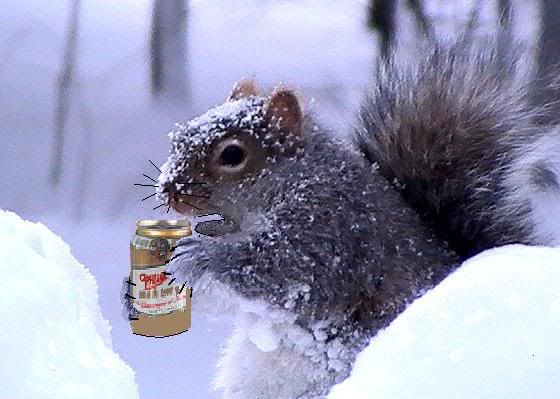 squirrel beer photo: Beer Squirrel beersquirrel.jpg