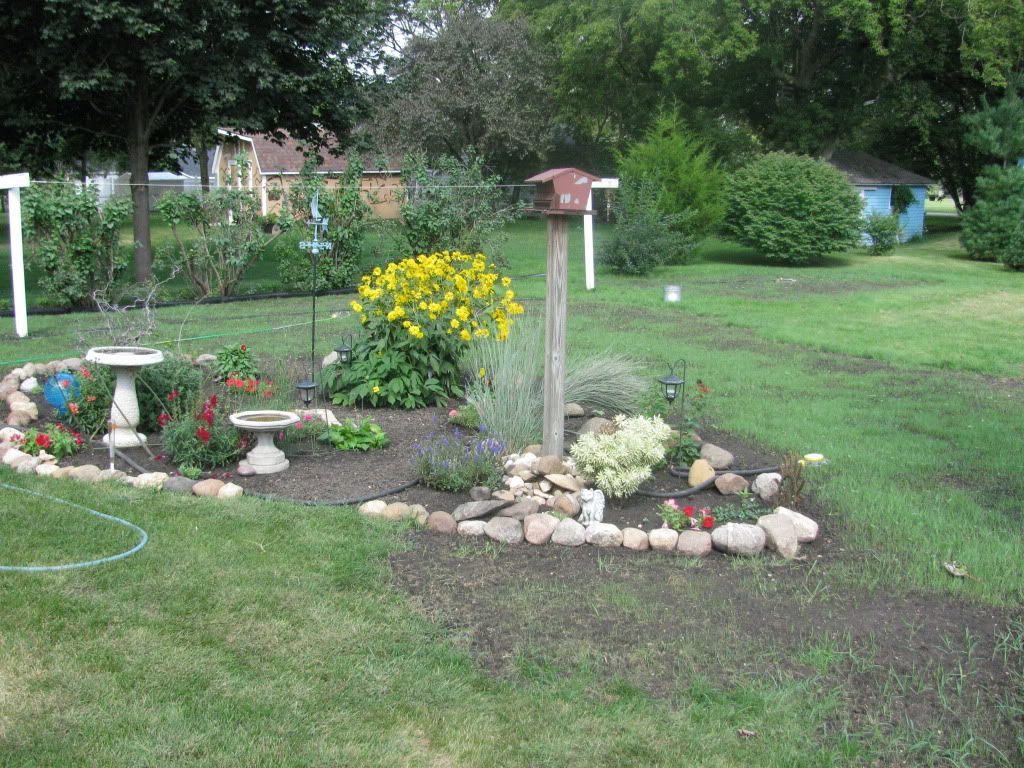 newyard2.jpg