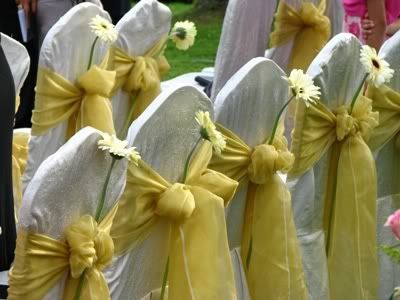Chair Covers  Wedding Reception on Organza Wedding Bows  Picture By Party Craze   Photobucket