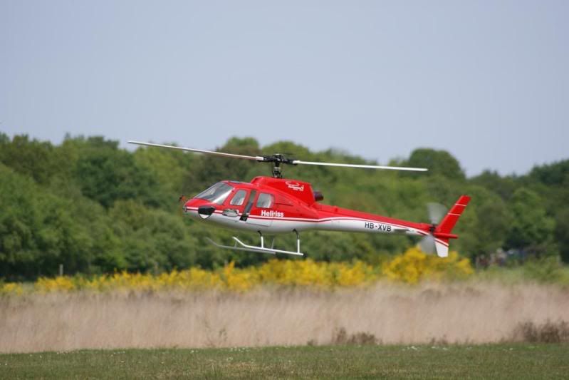 HMGenk209.jpg