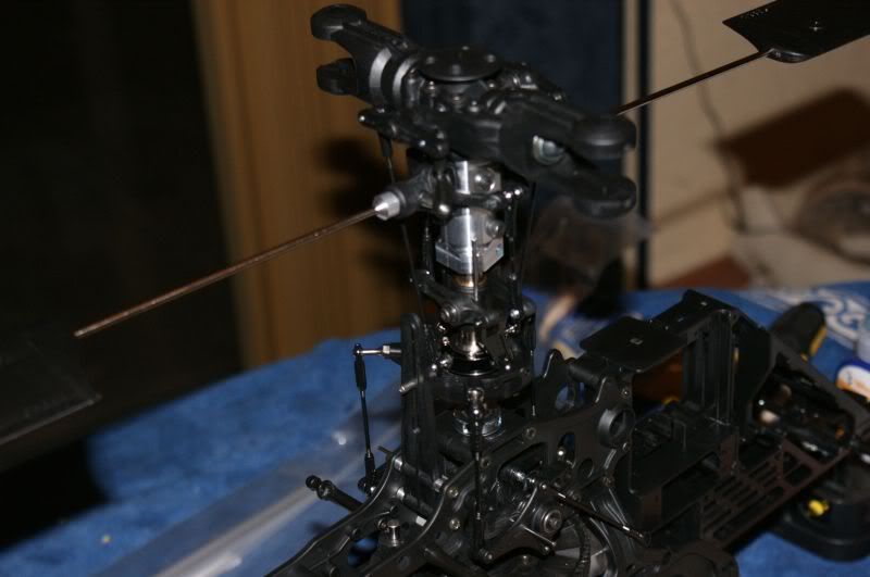 SDXbuild043.jpg