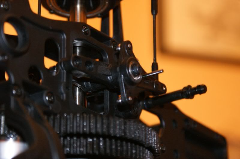 SDXbuild046.jpg