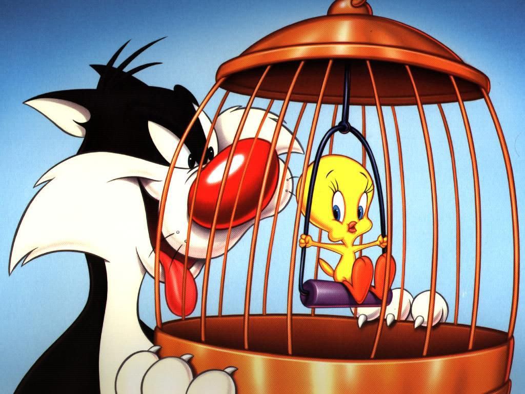 [Image: Tweety-Bird-Wallpaper-tweety-bird-3.jpg]