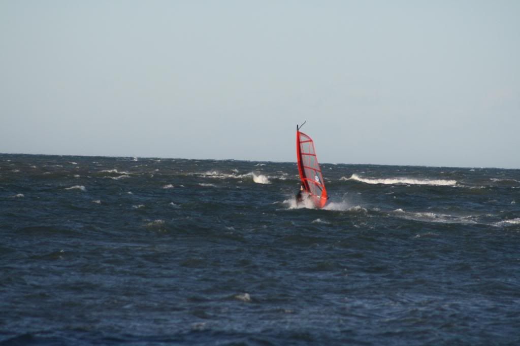 WindsurfMarineta0951.jpg