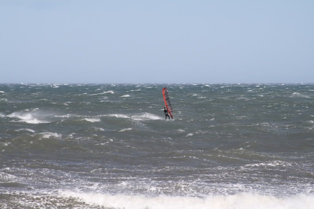 WindsurfPaquebote0703.jpg