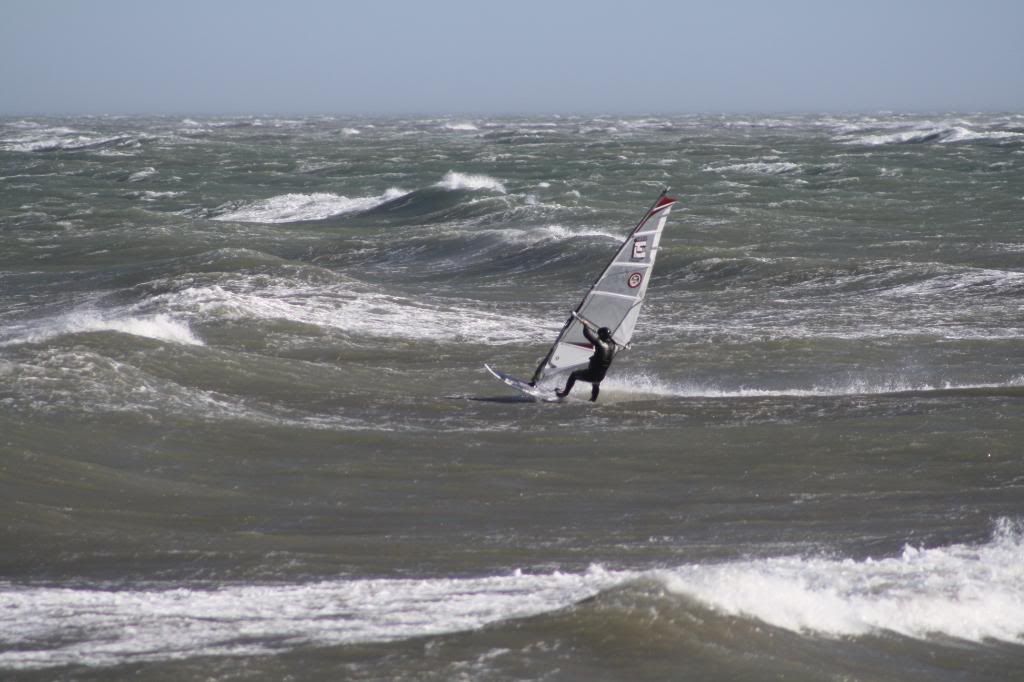 WindsurfPaquebote0742.jpg