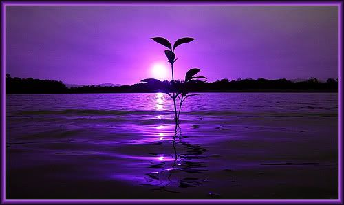 good evening Pictures, Images and Photos
