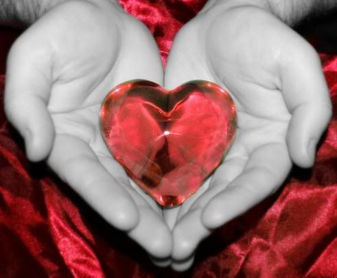 heart Pictures, Images and Photos