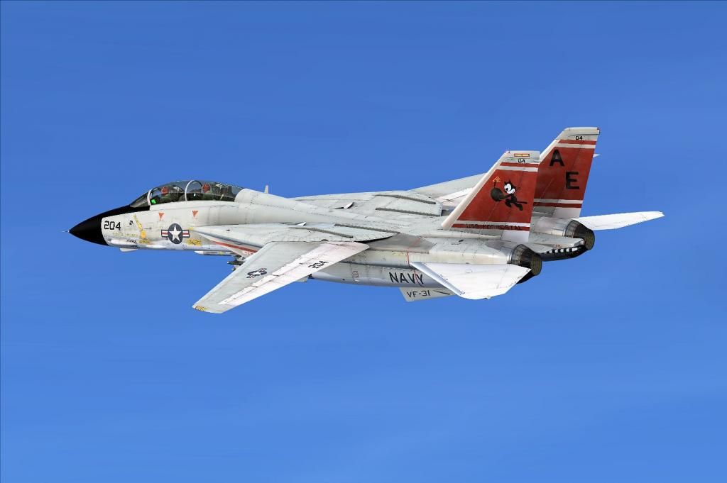[FSX P3D] Aerosoft F-14 X full version