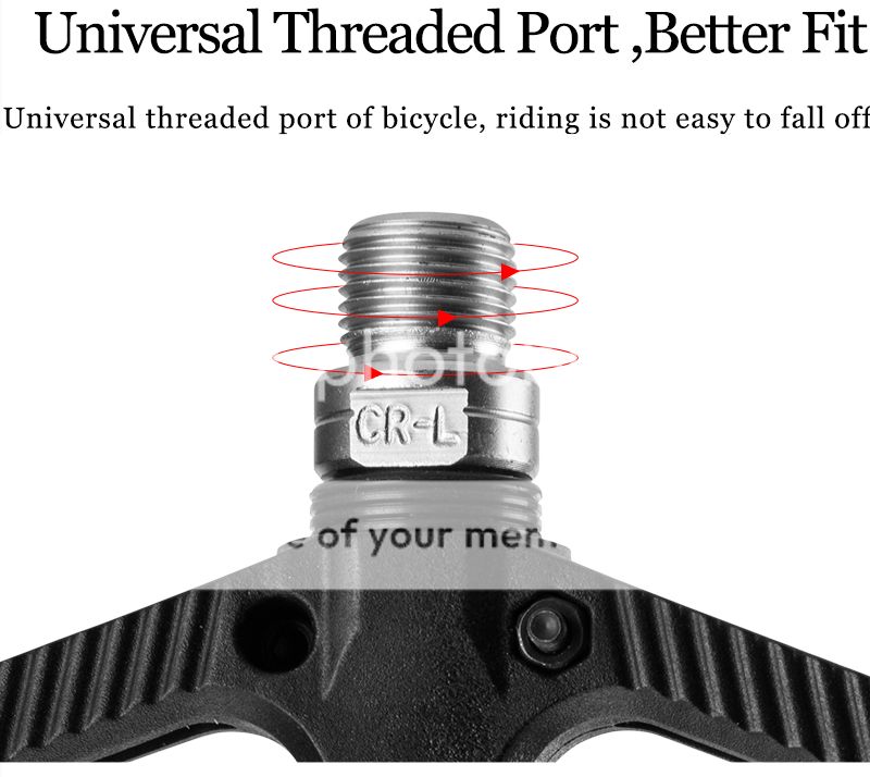  photo 18_zpstybtgbg6.jpg