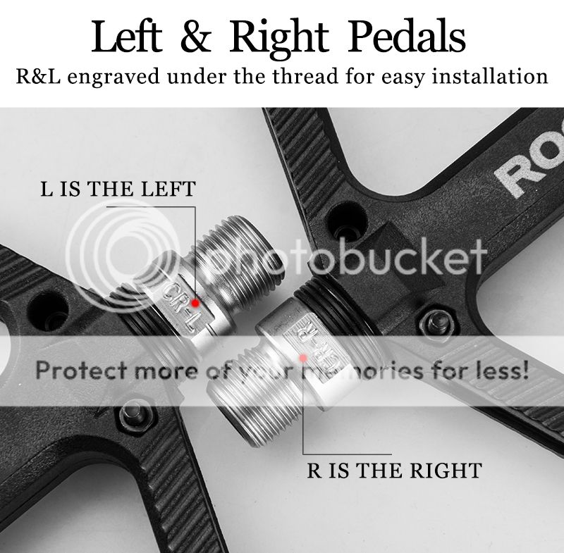  photo 19_zpszqbpayql.jpg