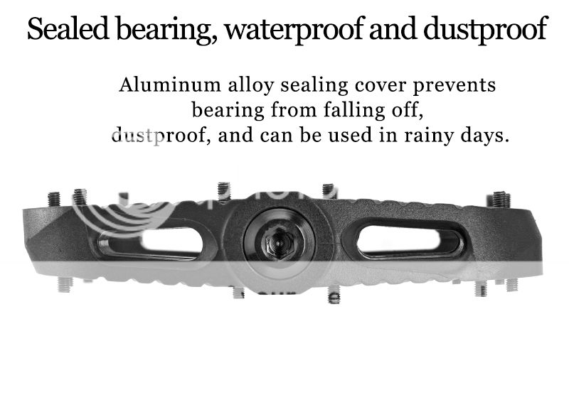  photo 20_zps3y9bg1sy.jpg