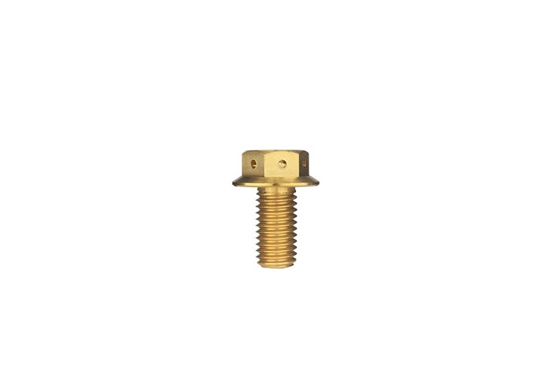 RockBros M10 Titanium Hex Head Cap Flange Bolt 1.5mm Bolt Pitch 1Pcs Ti Color
