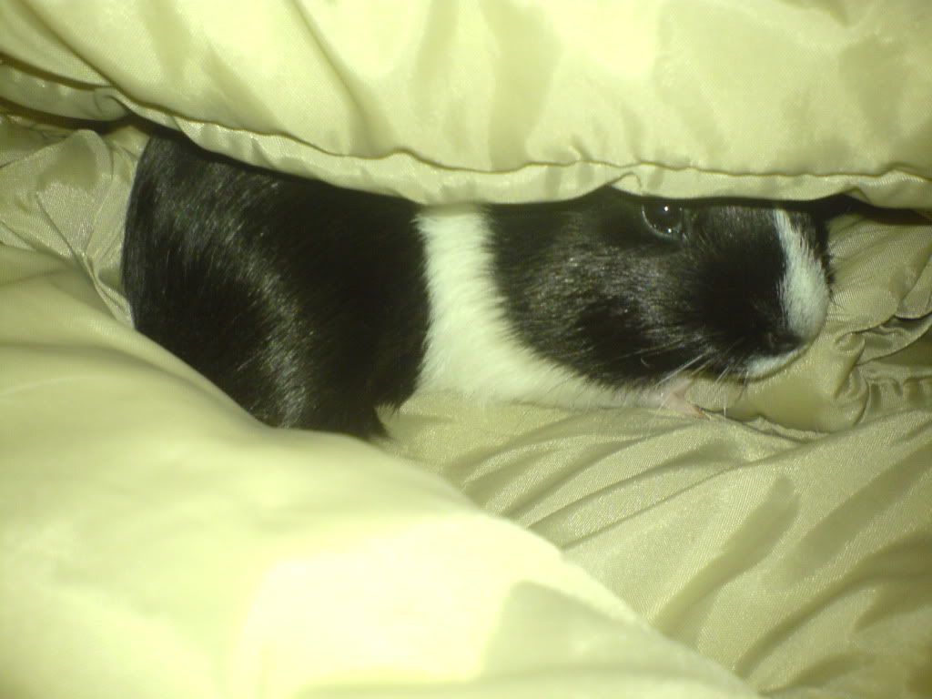 DSC00648.jpg