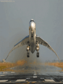 http://i572.photobucket.com/albums/ss169/stinker-shit/8e5ec45e1dURCRKVM_3766_019a1f3aab.gif